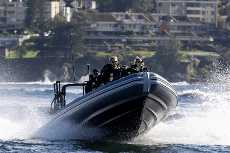 Sydney: High-Speed Whale Watching Tour Circular Quay Departure