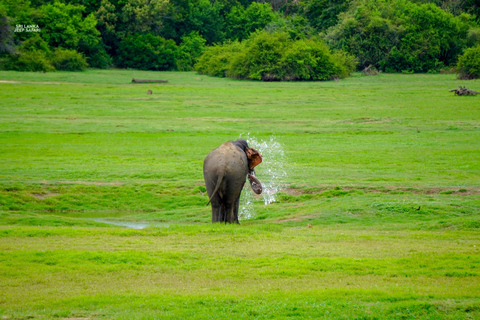 Kaudulla: Safari en elefante al atardecer con vistas impresionantes