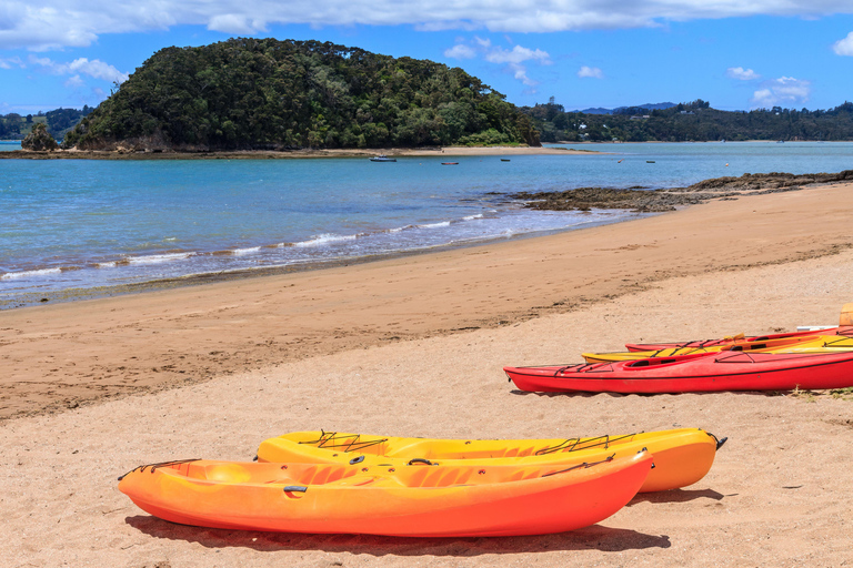 Bay of Islands: Half-Day Scenic Tour with Ferry Crossing