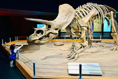 Drumheller Full-day Private Sightseeing Tour