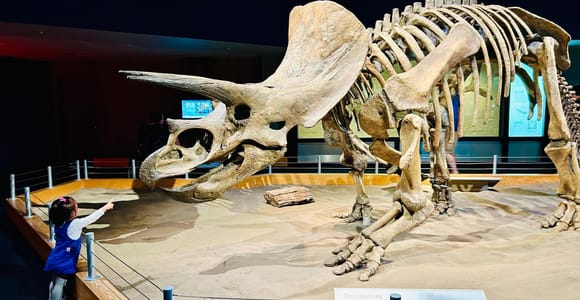 Drumheller Ganztagestour Private Sightseeingtour