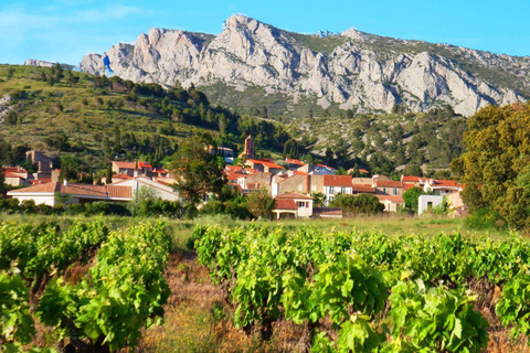 vingrau : degustação de vinhos