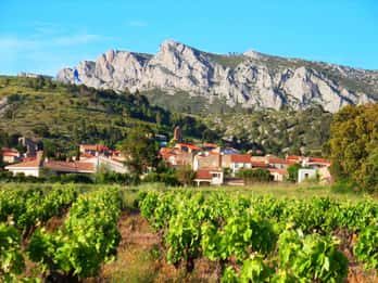 vingrau : wine tasting