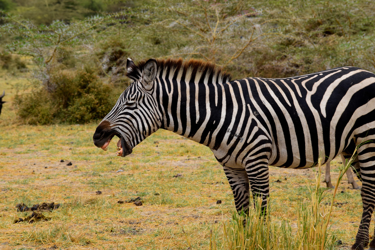Viaggio di due giorni al Lago Manyara con canoa e passerella tra le cime degli alberiCampeggio a Karatu