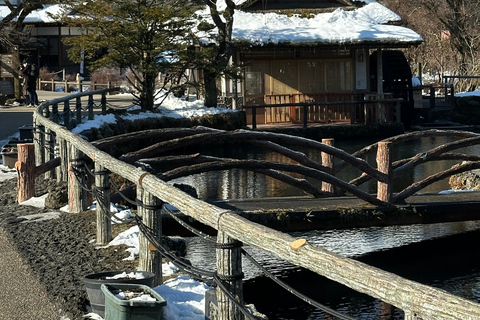 Mt Fuji Sightseeing Private tour with English Speaking Guide