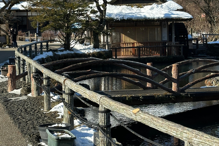 Mt Fuji Sightseeing Private tour with English Speaking Guide