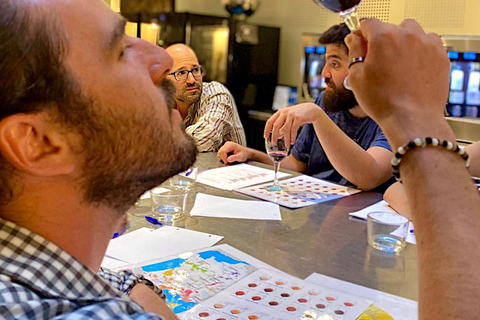 French Wine Tasting Workshop - Downtown Montpellier Workshop in Spanish