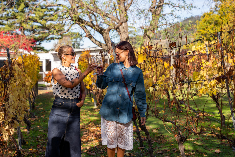 霍巴特：塔斯马尼亚顶级酒庄一日游（含品酒）
