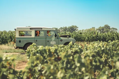 From Lyon: Burgundy Private Half Day Tour by Defender