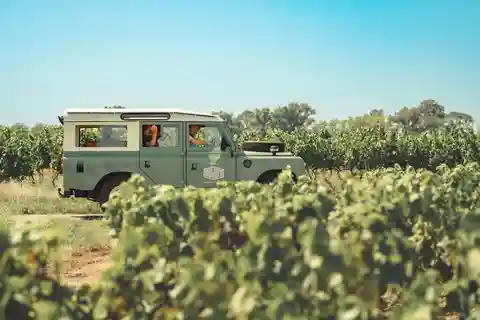 Au départ de Lyon : Visite privée de la Bourgogne d'une demi-journée par Defender