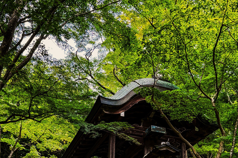 Hidden Japan: Arima Onsen & Mountain Escape from Osaka