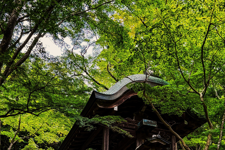 Hidden Japan: Arima Onsen & Mountain Escape from Osaka