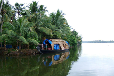 Esclusivo tour di Cochin in giornata con guida e spettacolo di Kathakali