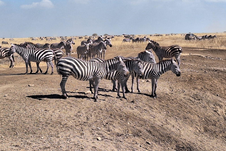 Nairobi National Park Halve dag gamedrive met gids