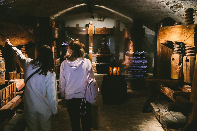 From Bratislava: Wine Tasting & Castles Guided Day Trip