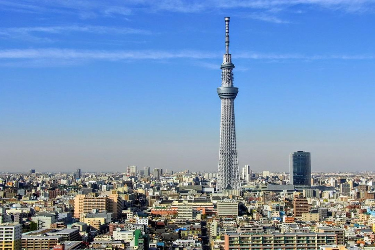 Tokyo: Private 1-Day Tour with English-Driver, Customizable