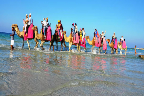 Djerba: Discover the Lagoon and the Countryside by Camel, Horse, or Carriage
