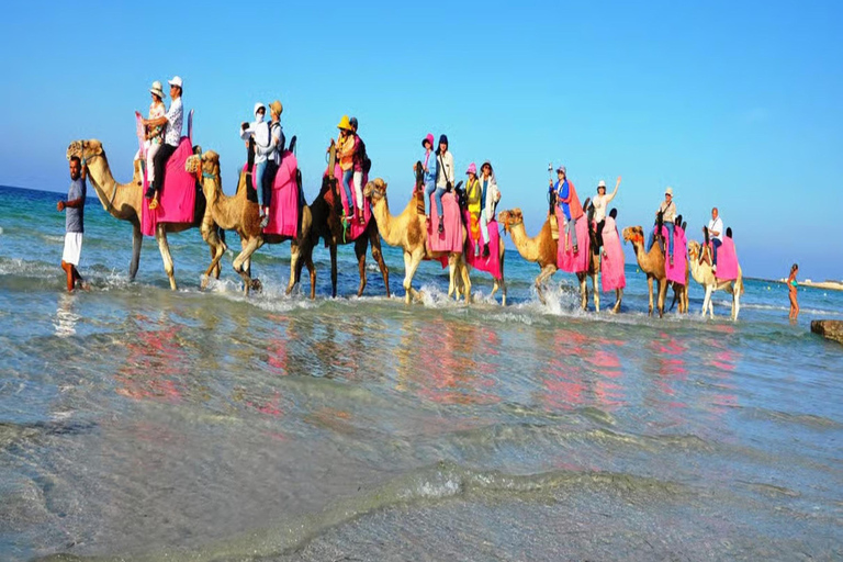 Djerba: Discover the Lagoon and the Countryside by Camel, Horse, or Carriage