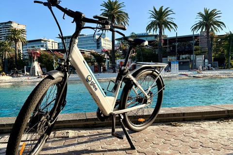 Brisbane: 2 hours E-Bike Rental Brisbane: E-Bike Rental
