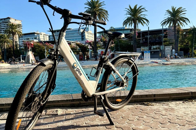 Brisbane: 2 hours E-Bike Rental Brisbane: E-Bike Rental