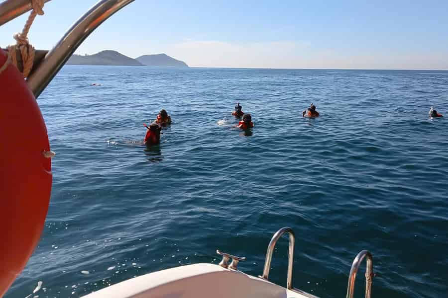 Nha Trang: Private Schnorcheltour ohne Menschenmassen & Schwimmen im Meer. Foto: GetYourGuide Nha Trang: Private Schnorcheltour ohne Menschenmassen & Schwimmen im Meer. Foto: GetYourGuide