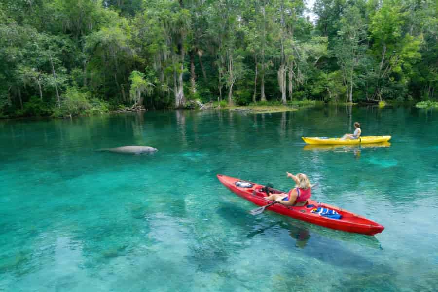 Silver Springs, Orlando: Tagestour in Kleingruppen zur Seekuh-Saison. Foto: GetYourGuide