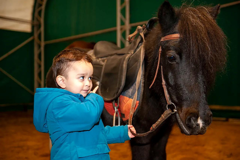 Baku Horse Riding Mountain Trail, Pony Ride & Experience Private: Sunset Horse Riding Tour – Mountain Trail, Baku