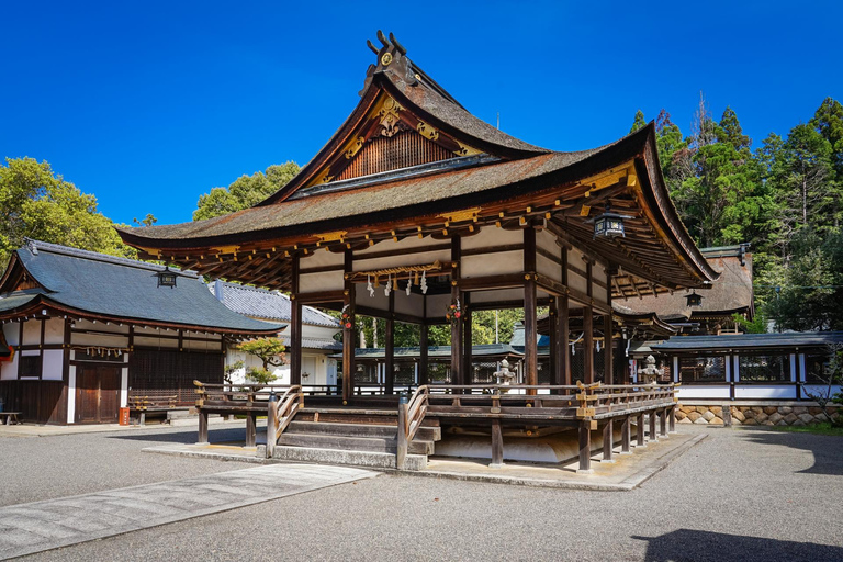 Aus Nagoya: Mythen und Geheimnisse von Ninja und der Tokaido-Straße