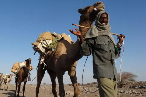 From Lalibela: 5-Day Danakil Depression and Lalibela Tour