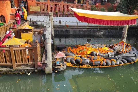 Upptäck Katmandu: Heldagstur med buss till stadens höjdpunkterFrån Kathmandu: Busstur till stadens höjdpunkter