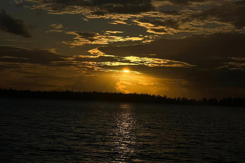 Excursión privada en barco: Día completo/Avistaje de delfines y baño+ Barbacoa