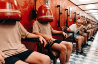 Phillip Island, A Maze'N Things Attraction Ticket - Housity