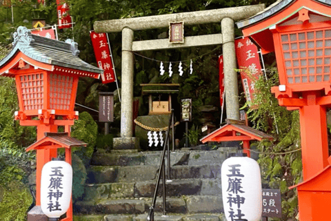 From Tokyo: Mount Fuji Full Day Customizable Private Tour