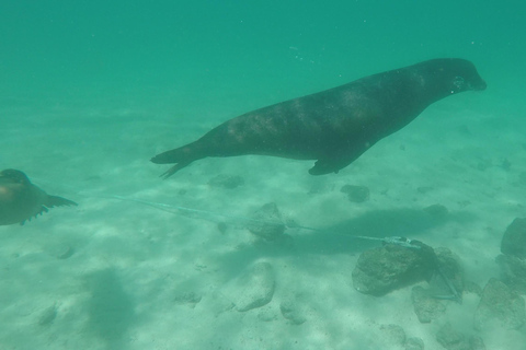 Isola delle Galapagos; tour naturalistico