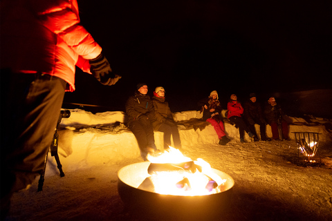 From Narvik: The Northern Lights Arctic Train Guided Tour