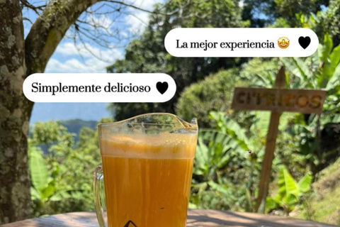 Medellin: Have a rural experience | Discover an old colonial town Medellín: Enjoy a Rural Experience | Discover an Old Colonial Town