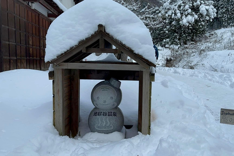 Tokyo: Private Nagano Tour with English speaking driver