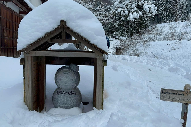 Tokyo: Private Nagano Tour with English speaking driver