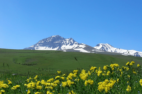 Yerevan: Amberd Fortress, Armenian Alphabet Alley, Lake Kari