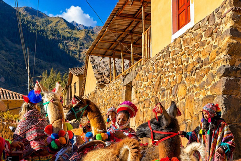 Ollantaytambo: Llama Farm Visit with Feeding Experience