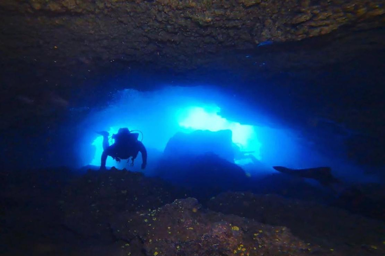 Madeira: Full-Day Dive Pack