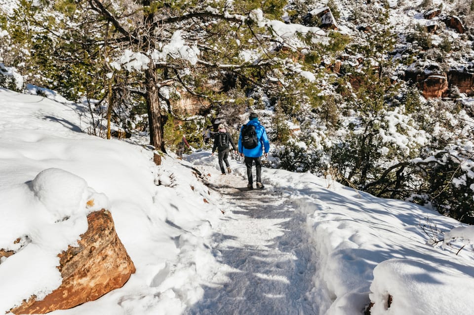 From Springdale Hour Zion Canyon Scenic Hiking Tour Getyourguide