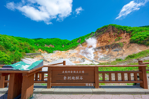 From Sapporo: Noboribetsu & Lake Toya Private Tour