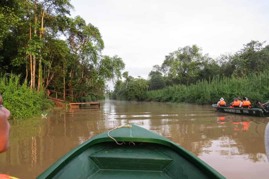 Sandakan: 3 Tage/2 Nächte Das wilde Herz Borneos Flussgeheimnisse. Foto: GetYourGuide