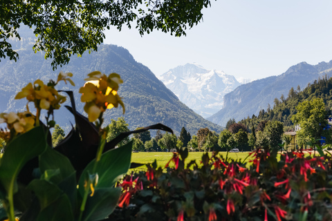 From Zurich: Guided Day Trip to Jungfraujoch with Train Ride