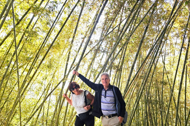 Lo mejor de Busan : Excursión de un día completo en grupo reducido - Máximo 6 personasTour en grupo reducido para invitados en general