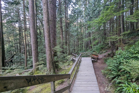 Grouse Mnt+StanleyPark+Hatchery+Cleveland Dam+LynnCanyonTOUR Shared Tour
