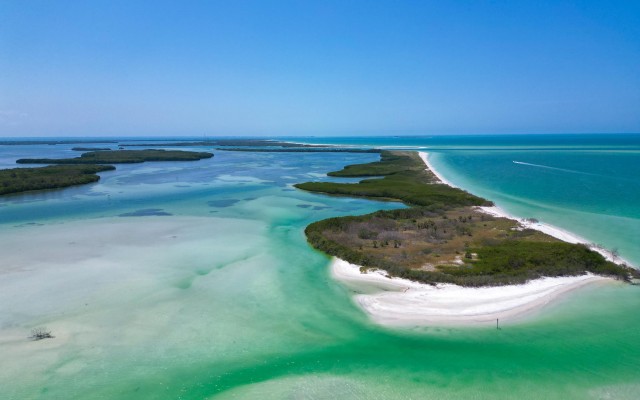 Visit St Pete & St Pete Beach Coastal Kayak Charters in St. Petersburg, Florida