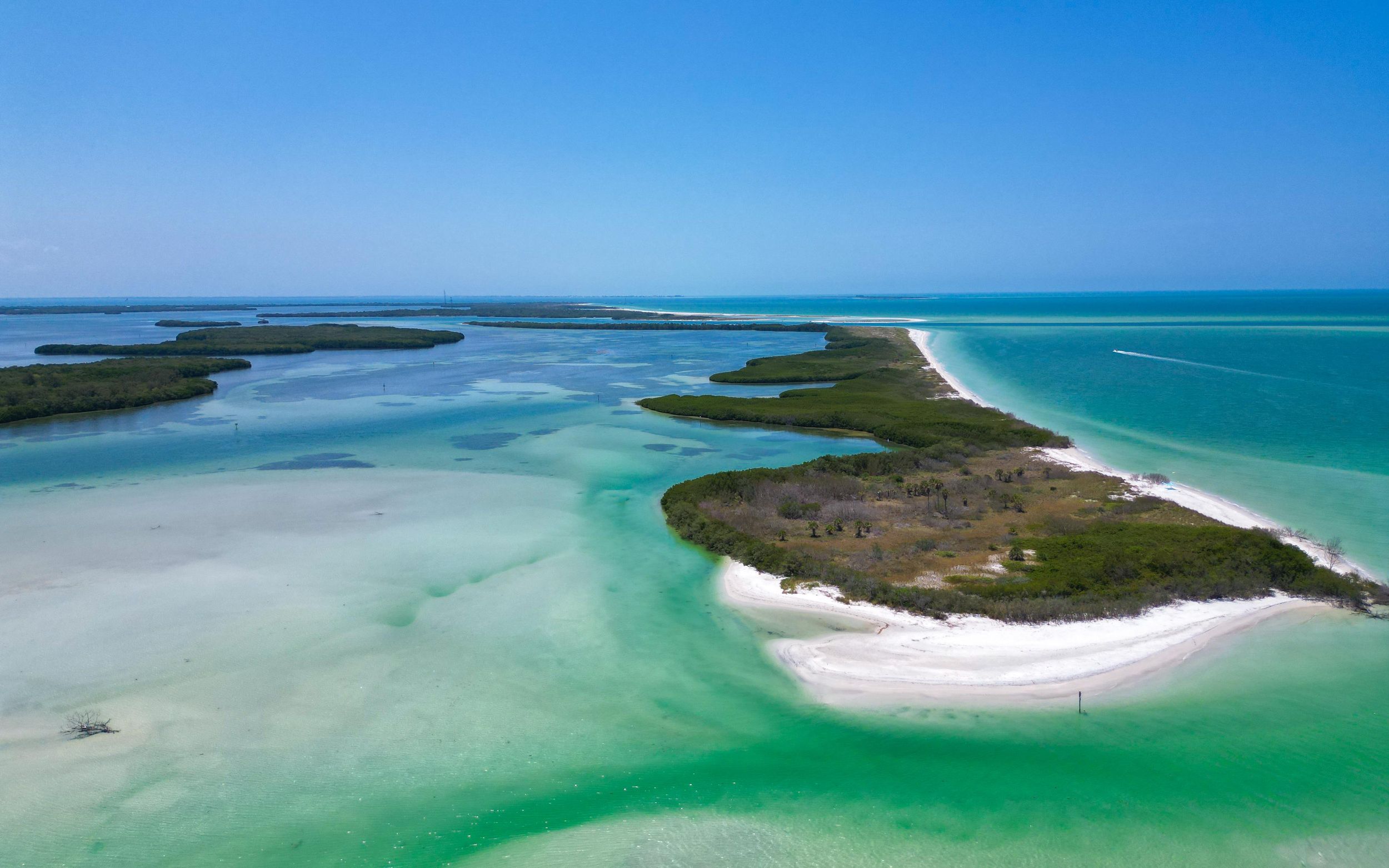 Tierra Verde FL: Kajaktour an der Küste von Shell Key