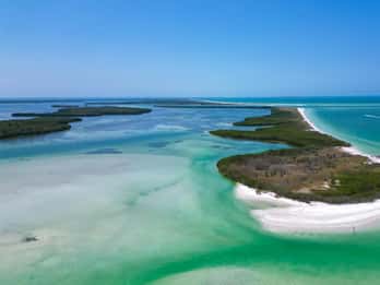 Tierra Verde FL: Прибрежный тур на каяках в Шелл Ки